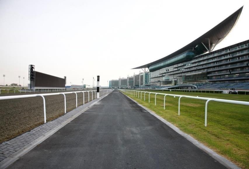 Race Track Hardscaping 2